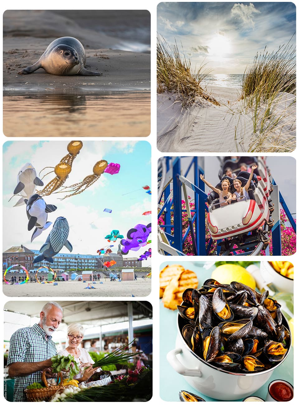 Découvrir la Côte d'Opale lors de votre séjour au Camping de la Mer Sainte-Cécile
