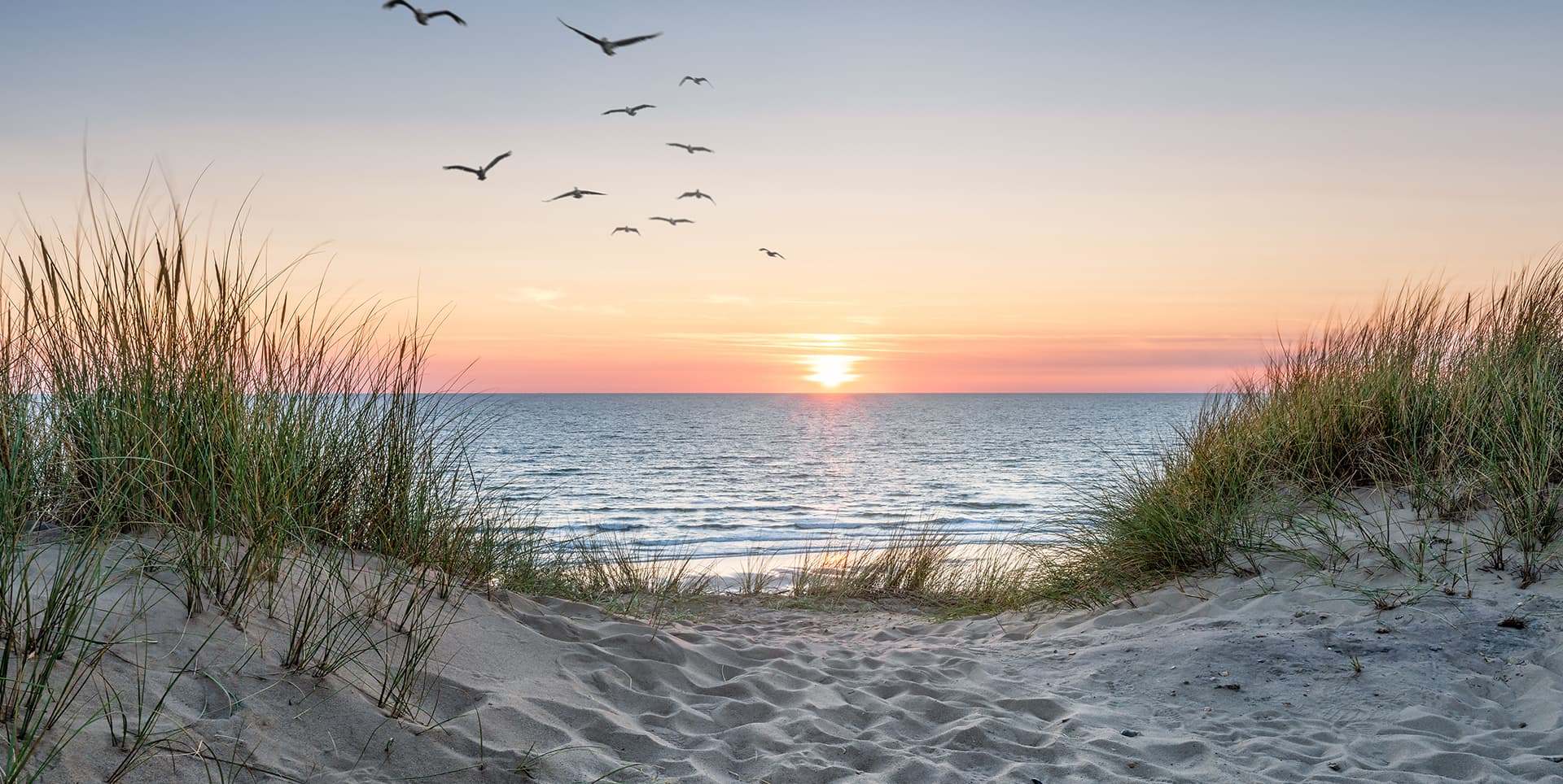 Camping de la Mer - Achat mobil-homes neufs